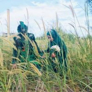 Bebyy Mell profile icon