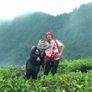 Pipidd DaNiella Syafe'i profile icon