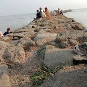 Lis Jayzully profile icon