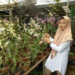 Ail Aliya profile icon