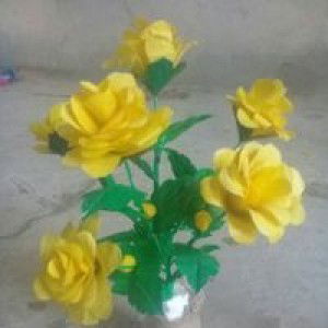 Nofi Susill profile icon