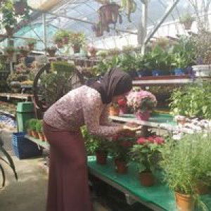 Noor Jinan Bt Mohd Noor profile icon