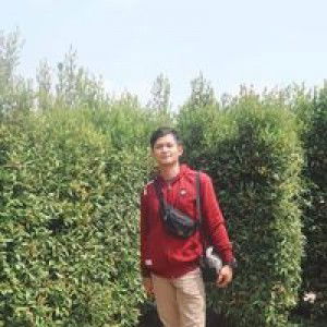 Muhammad Sidiq profile icon