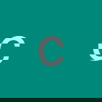crazy Littlemind profile icon