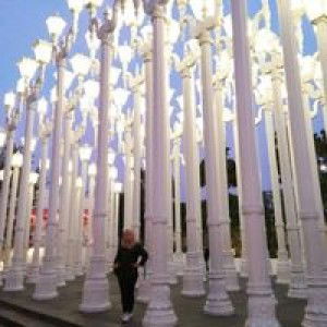 Veni Vebriani profile icon