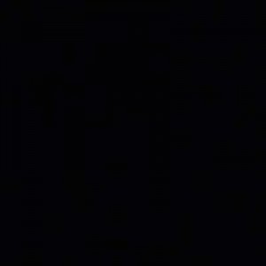 阮狄娜 profile icon