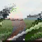 Lalita Lue profile icon