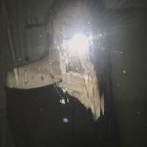 Tuyết Tuyết profile icon