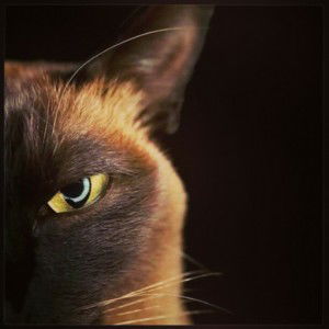 Eki Md Saat profile icon