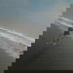 Fajar Ikilo profile icon