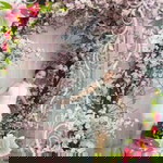 Sang Nguyen profile icon