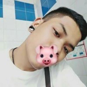 Thotsaphol Namkaew profile icon