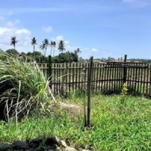 Nia Kurniawati profile icon