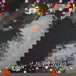 Wena Ariska profile icon