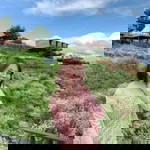 Pawnnatcha Sujajing profile icon