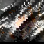 นินิว ส์. profile icon