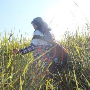 Yuzi Bresenta profile icon