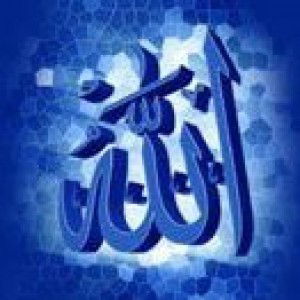 Laksita Putri profile icon