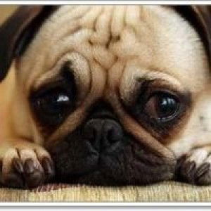 Rawiwan Kaewkhamhom profile icon