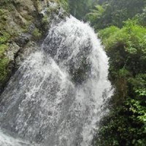 Melani Ani profile icon
