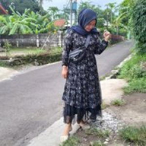 Syamilla Berlin profile icon