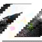 อ่า' นา profile icon