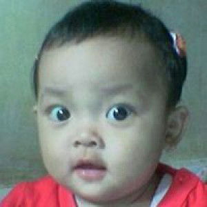 Shifa Fauzia profile icon