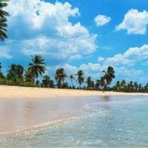 Melanie Dumadag profile icon