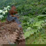 Angelica Joy Baltazar profile icon