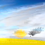 anagaudzz 91 profile icon