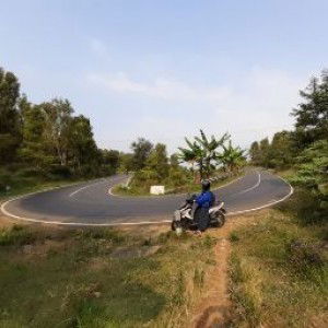 Listy Official profile icon