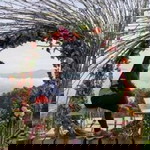 Aay Rhen profile icon