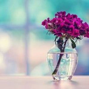 Mae Lohobz profile icon