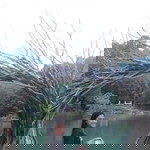 Hiedimay Delafuente Francisco profile icon