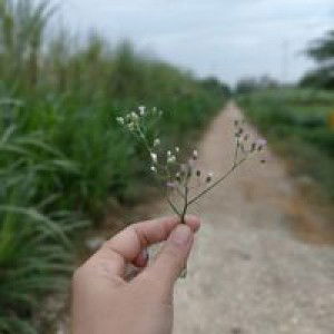 Riyanti profile icon