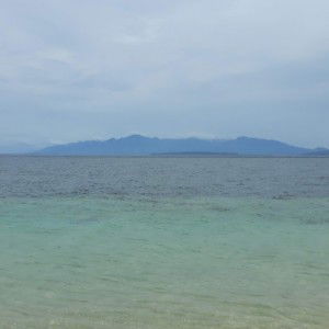 Aryanti Ardiningrum profile icon