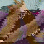 Nadhila Almunadi profile icon