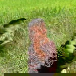 สิบสี่กุมภา สองห้าสามเก้า profile icon