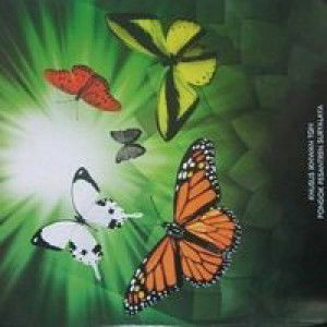 Ayin AlBatanjani profile icon