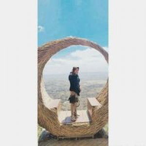 Erica Sulistya profile icon