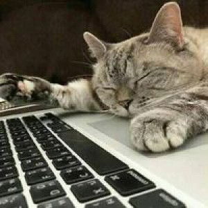 Triyono profile icon