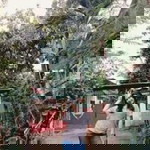 Metch Magbaleta profile icon