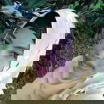 รักนี้ ขอหยุด ที่เทอร์ profile icon
