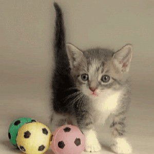 NURIYAH JAMILAH profile icon