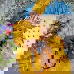 May Fitri Nasution profile icon