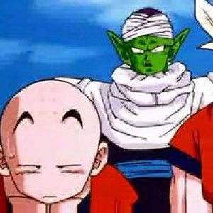 Risa Nurjuliani profile icon