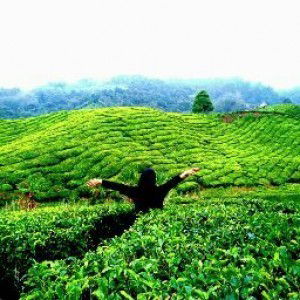 Aki Hakita profile icon