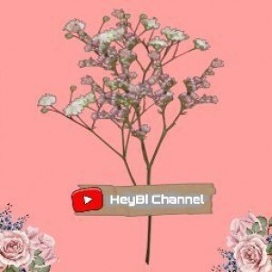 HeyBi Channel profile icon