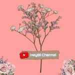 HeyBi Channel profile icon