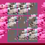 ชิษนุชา ลมอ่อน profile icon